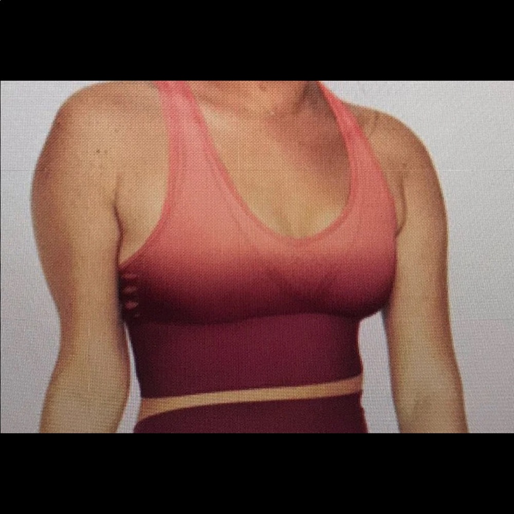 NWOT Victoria’s Secret Pink Longline Spirts Bra Top L